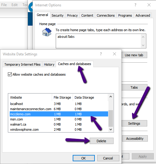 Delete Caches and Databases for IE 11 Step